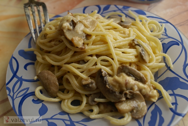 SONY DSC